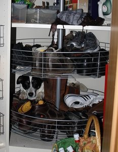 IMG_1216.JPG IMG_1216.JPG