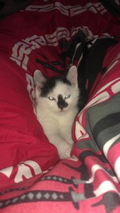 10149924_277860235716266_497224815_n.jpg 10149924_277860235716266_497224815_n.jpg