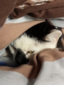 20140406_142948.jpg 20140406_142948.jpg