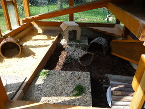 Außengehege.JPG Außengehege.JPG