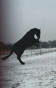 1391460385582.jpg 1391460385582.jpg