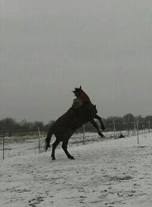 1391460383899.jpg 1391460383899.jpg