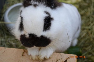 17625657ce.jpg 17625657ce.jpg