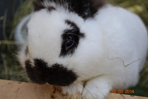 17625658fm.jpg 17625658fm.jpg