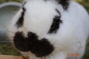 17625660by.jpg 17625660by.jpg