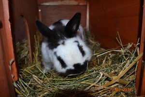 17794980xp.jpg 17794980xp.jpg