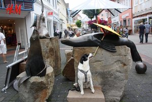 IMG_3323 (640x427).jpg