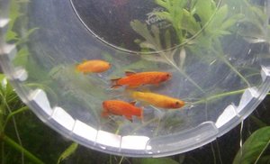 102_0441.JPG 102_0441.JPG