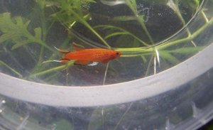 102_0446.JPG 102_0446.JPG