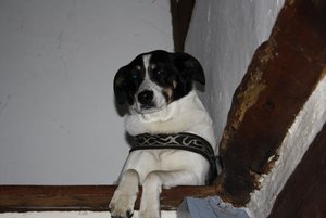 IMG_0517 (640x427).jpg