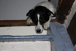 IMG_0519 (640x427).jpg