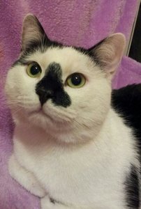 IMG-20140401-WA0075 (600x800).jpg