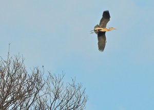 18107084ql.jpg 18107084ql.jpg