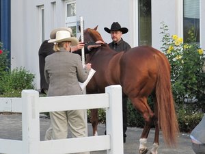 IMG_2033 (640x480).jpg IMG_2033 (640x480).jpg