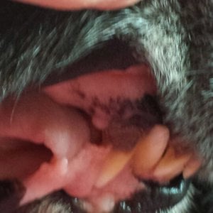 2014-05-01 16.05.35.jpg