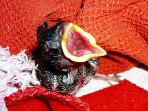 P1070369 (640x480).jpg