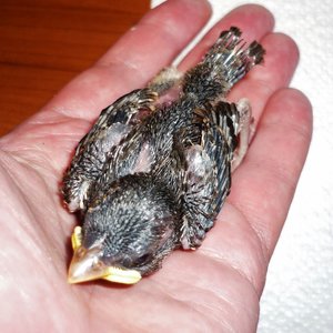 P1070377 (639x640).jpg