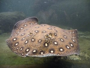 DSCF2660.JPG DSCF2660.JPG