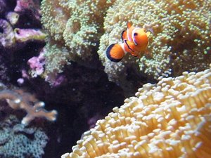 DSCF2740.JPG DSCF2740.JPG