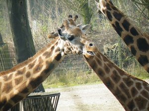 DSCF2792.JPG DSCF2792.JPG