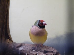 DSCF2833.JPG DSCF2833.JPG