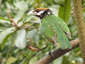 DSCF2841.JPG DSCF2841.JPG