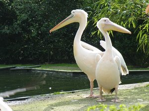 DSCF2861.JPG DSCF2861.JPG