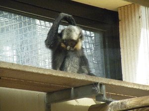 DSCF2888.JPG DSCF2888.JPG