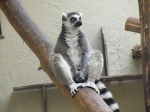 DSCF2920.JPG DSCF2920.JPG