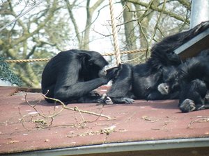 DSCF2873.JPG DSCF2873.JPG