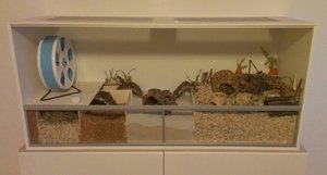 PicsArt_1399482207046.jpg PicsArt_1399482207046.jpg