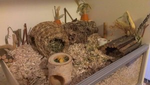 PicsArt_1399482225452.jpg PicsArt_1399482225452.jpg