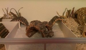 PicsArt_1399482244024.jpg PicsArt_1399482244024.jpg