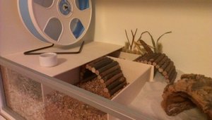 PicsArt_1399482271224.jpg PicsArt_1399482271224.jpg