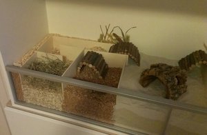 PicsArt_1399482176473.jpg PicsArt_1399482176473.jpg