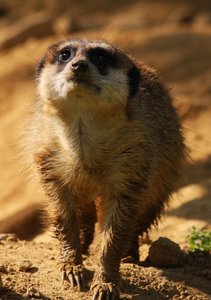 00000003.jpg 00000003.jpg