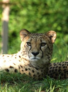 00000006.jpg 00000006.jpg