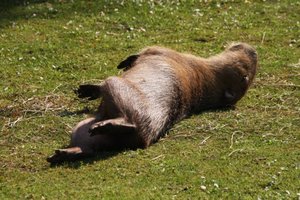 00000011.jpg 00000011.jpg