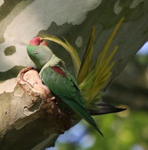 00000013.jpg 00000013.jpg