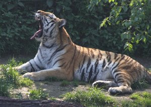 00000017.jpg 00000017.jpg