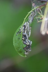 00000033.jpg 00000033.jpg