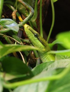 00000039.jpg 00000039.jpg