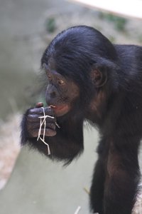 00000002.jpg 00000002.jpg