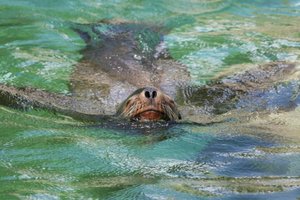 00000005.jpg 00000005.jpg