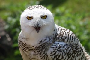 00000009.jpg 00000009.jpg