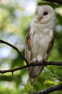 00000011.jpg 00000011.jpg