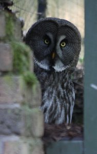 00000014.jpg 00000014.jpg