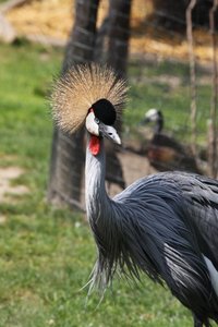 00000016.jpg 00000016.jpg