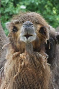 00000019.jpg 00000019.jpg