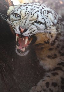 00000022.jpg 00000022.jpg